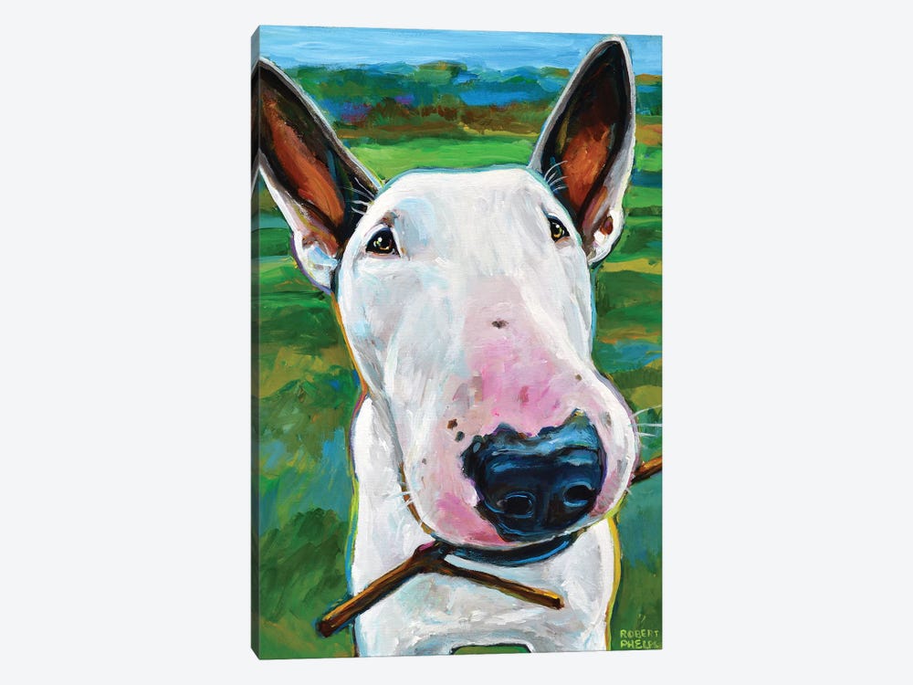 Bull Terrier with Stick by Robert Phelps 1-piece Canvas Artwork