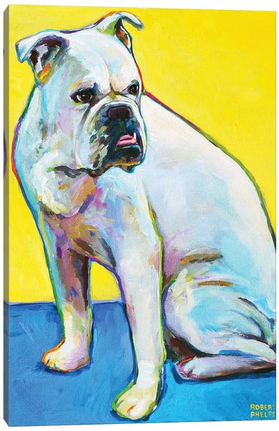 Bulldog On Yellow Canvas Art Print - Robert Phelps
