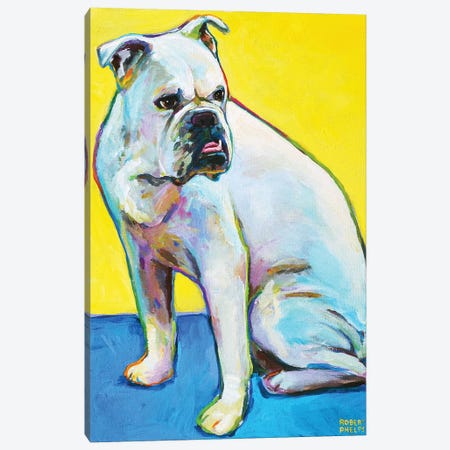 Bulldog On Yellow Canvas Print #RPH85} by Robert Phelps Canvas Print
