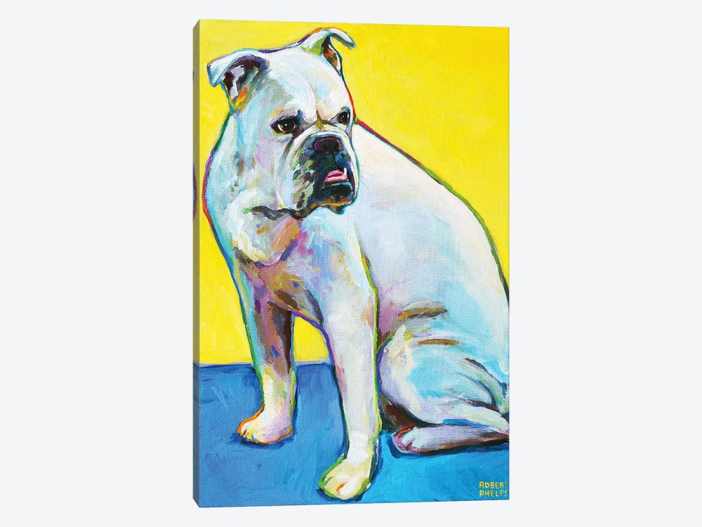 Bulldog On Yellow by Robert Phelps 1-piece Art Print