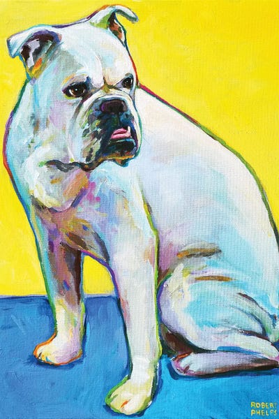 Bulldogs: Bulldog On Yellow by Robert Phelps