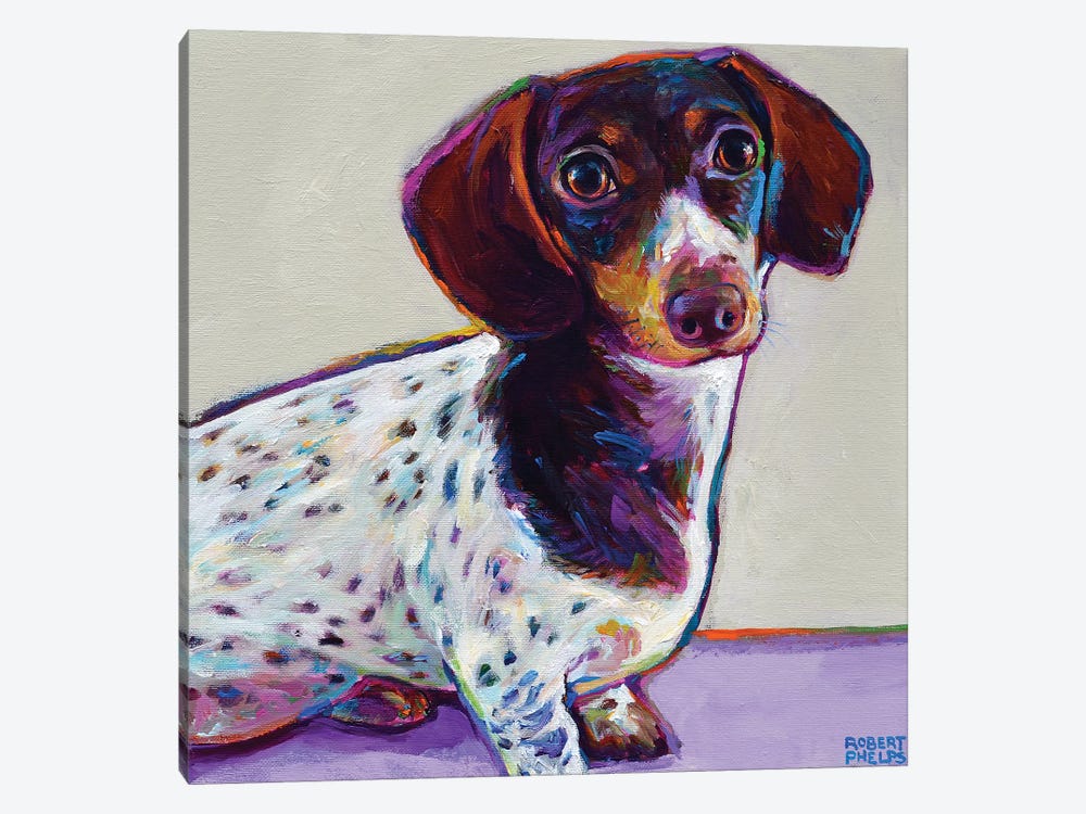 Buttercup the Dachshund by Robert Phelps 1-piece Canvas Wall Art