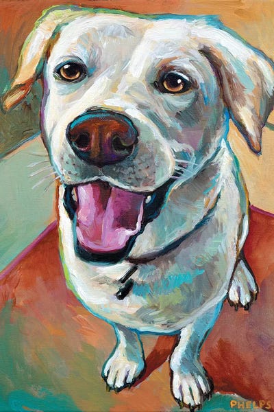 Labrador Retrievers: Blond Lab by Robert Phelps