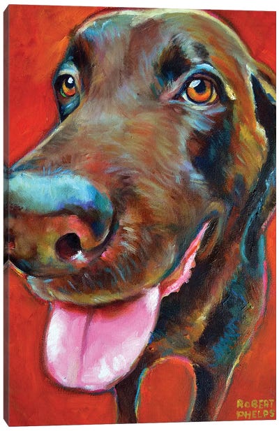 Chocolate Lab Canvas Art Print - Labrador Retriever Art