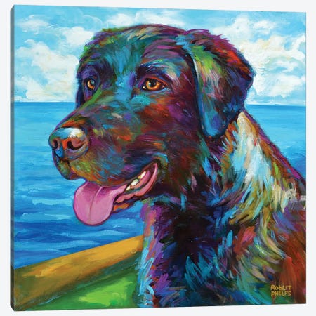Chocolate Lab by the Sea Canvas Print #RPH91} by Robert Phelps Canvas Art Print