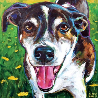 Dezi by Robert Phelps framed canvas print