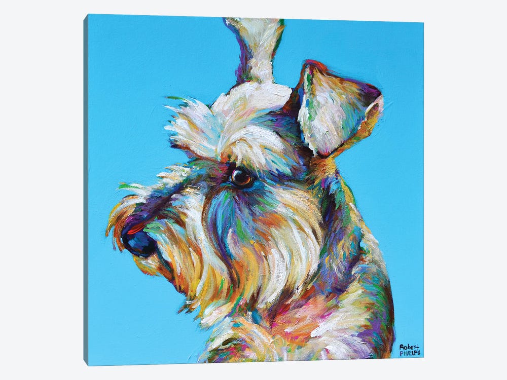 Dylan The Schnauzer Canvas Wall Art By Robert Phelps Icanvas