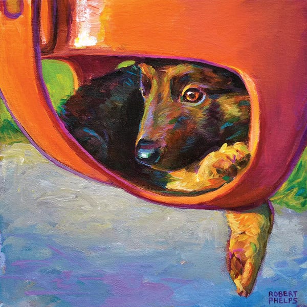 Robert Phelps: German Shepherd Puppy by Robert Phelps