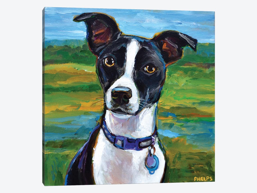 Jack Russell Terrier by Robert Phelps 1-piece Canvas Artwork