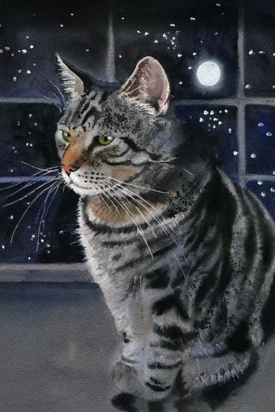 Moon Kitty by Rachel Parker framed canvas print