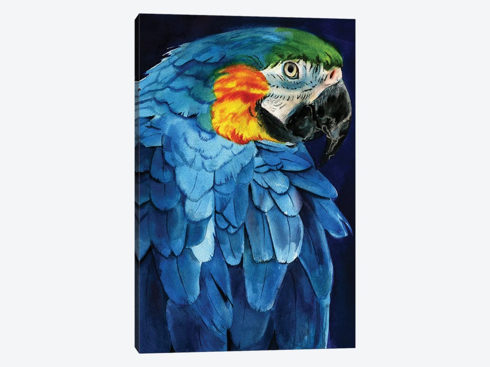Blue Macaw by Rachel Parker 1-piece Canvas Artwork