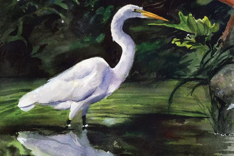 Egret Marsh by Rachel Parker wall art