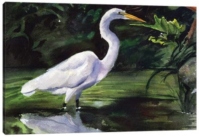 Egret Marsh Canvas Art Print - Egret Art