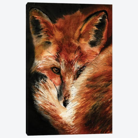 Fox Dreams Canvas Print #RPK103} by Rachel Parker Art Print