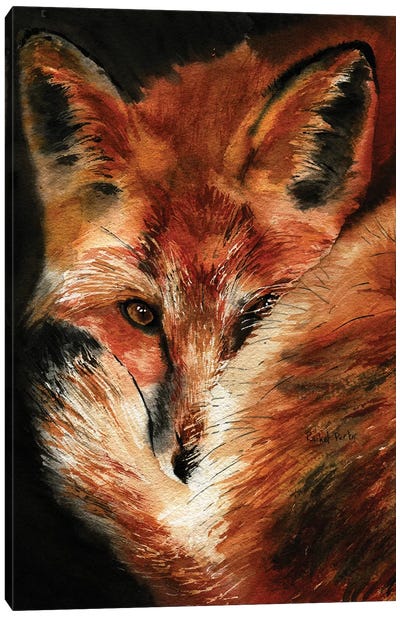 Fox Dreams Canvas Art Print - Fox Art