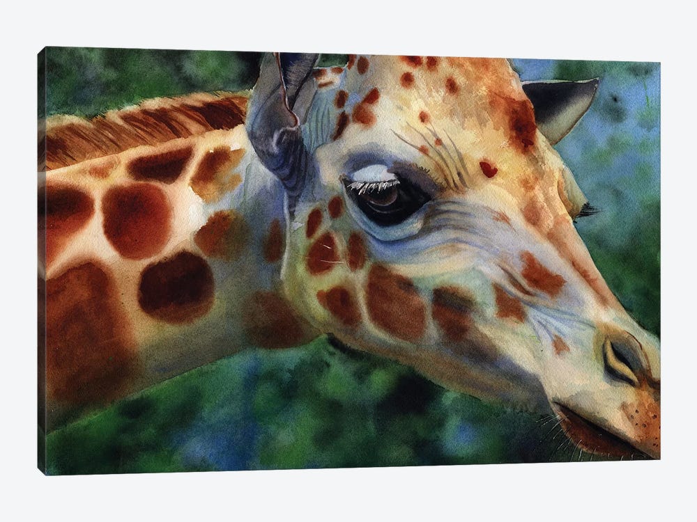 Giraffe Thoughts by Rachel Parker 1-piece Canvas Artwork