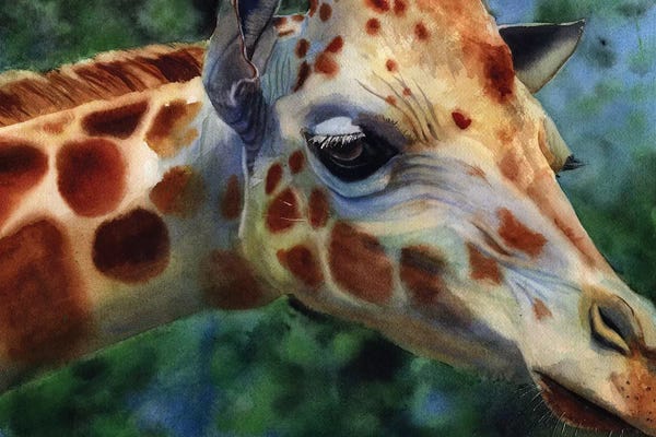Rachel Parker: Giraffe Thoughts by Rachel Parker