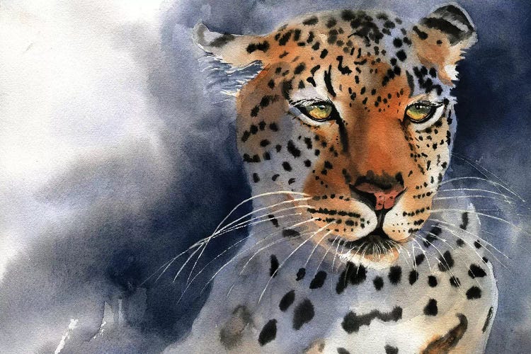 Leopard Thoughts by Rachel Parker wall art