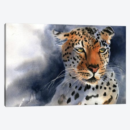 Leopard Thoughts Canvas Print #RPK106} by Rachel Parker Canvas Art