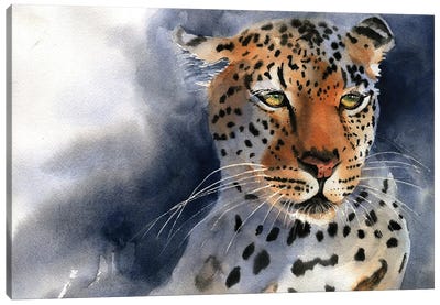 Leopard Thoughts Canvas Art Print - Rachel Parker