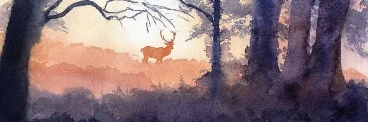 Morning Forest Deer by Rachel Parker wall art