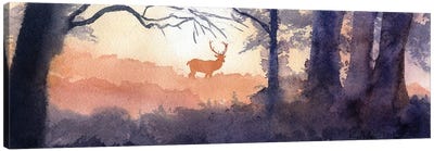 Morning Forest Deer Canvas Art Print - Rachel Parker