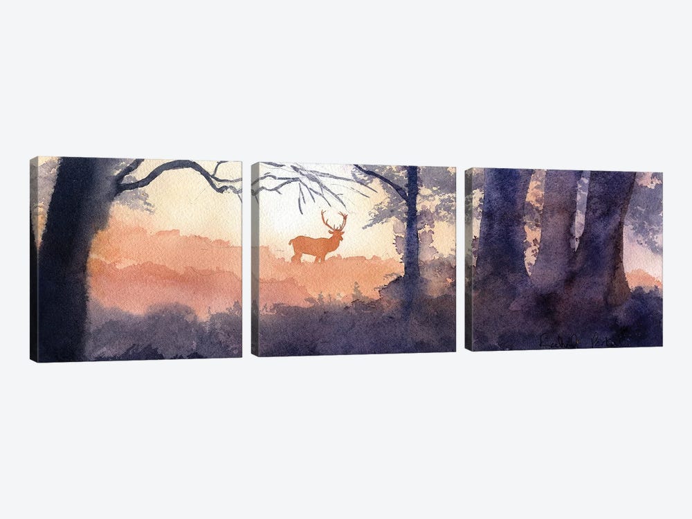 Morning Forest Deer by Rachel Parker 3-piece Art Print