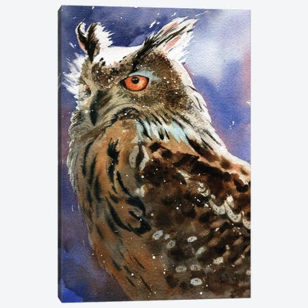 Owl Eyes Canvas Print #RPK109} by Rachel Parker Canvas Art Print