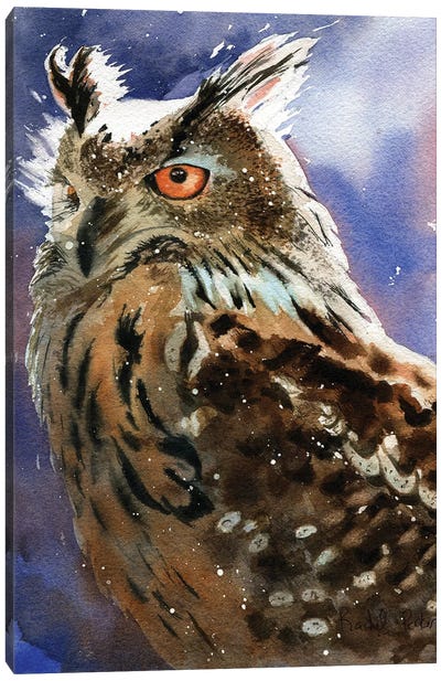 Owl Eyes Canvas Art Print - Rachel Parker