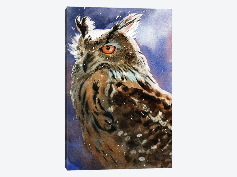 Owl Eyes by Rachel Parker 1-piece Canvas Art