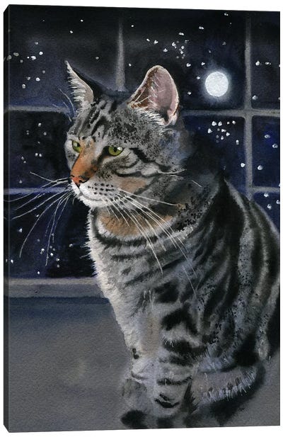 Moon Kitty Canvas Art Print - Rachel Parker
