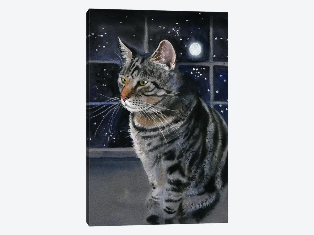 Moon Kitty by Rachel Parker 1-piece Canvas Print