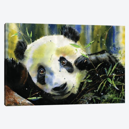 Panda Lunch Canvas Print #RPK110} by Rachel Parker Canvas Wall Art