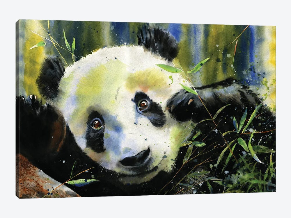 Panda Lunch by Rachel Parker 1-piece Canvas Wall Art