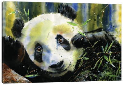 Panda Lunch Canvas Art Print - Animal Lover