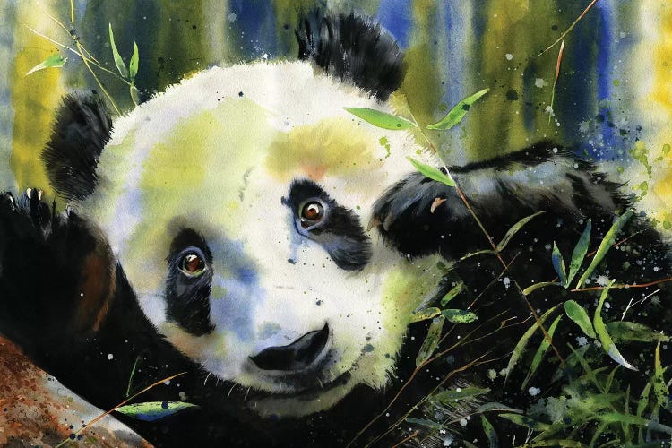 Panda Lunch by Rachel Parker wall art