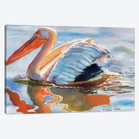 Pelican Reflections Canvas Print #RPK111} by Rachel Parker Canvas Wall Art