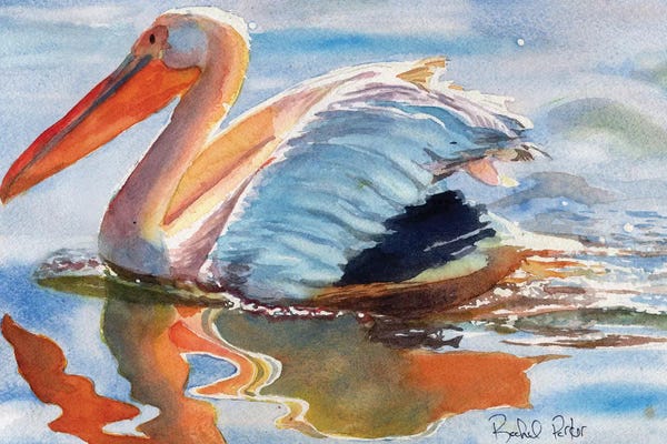Pelicans: Pelican Reflections by Rachel Parker