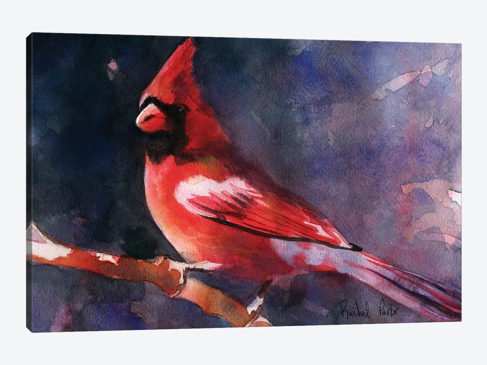 Red Cardinal by Rachel Parker 1-piece Canvas Wall Art