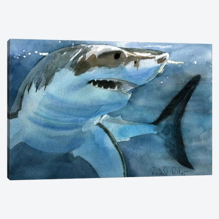 Sharky Canvas Print #RPK113} by Rachel Parker Canvas Art
