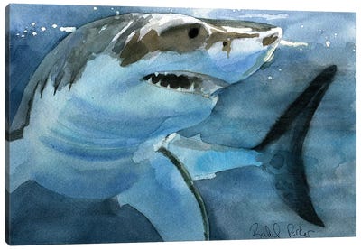 Sharky Canvas Art Print - Great White Sharks