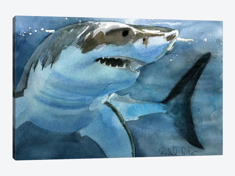 Sharky by Rachel Parker 1-piece Art Print
