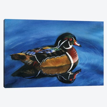 Wood Duck Canvas Print #RPK114} by Rachel Parker Canvas Print