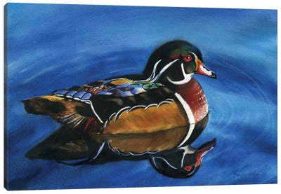 Wood Duck Canvas Art Print - Duck Art
