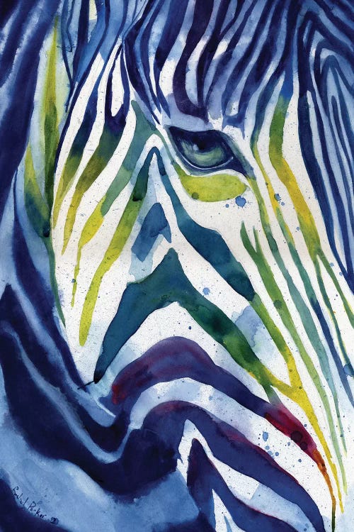 Zebra Colors by Rachel Parker wall art