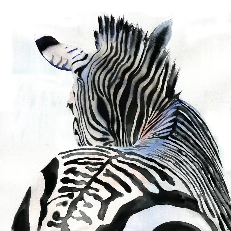 Zebra Contours