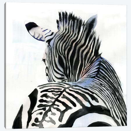 Zebra Contours Canvas Print #RPK116} by Rachel Parker Canvas Art Print