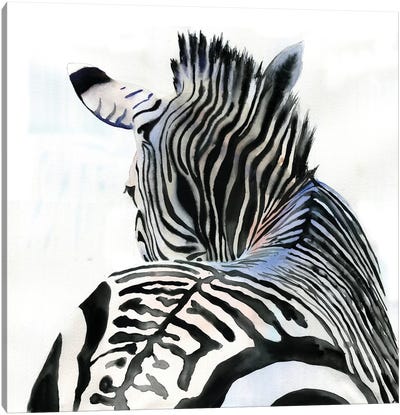 Zebra Contours Canvas Art Print - Rachel Parker