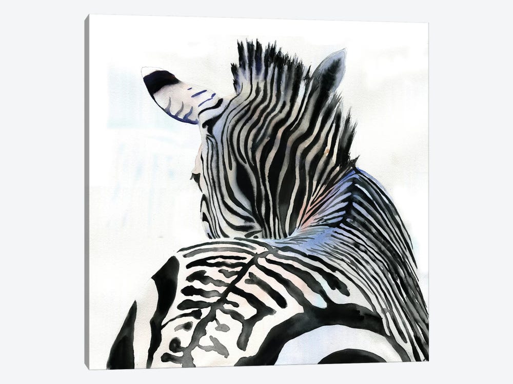 Zebra Contours by Rachel Parker 1-piece Canvas Art