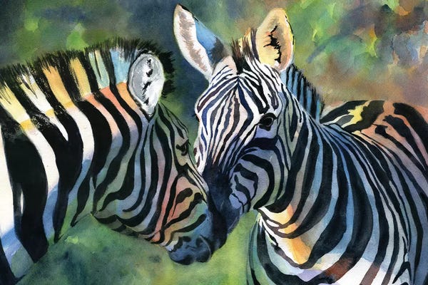 Zebras: Zebra Love by Rachel Parker